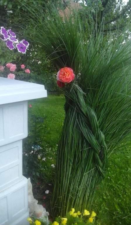 Apartman Drina Berilovac Exterior foto