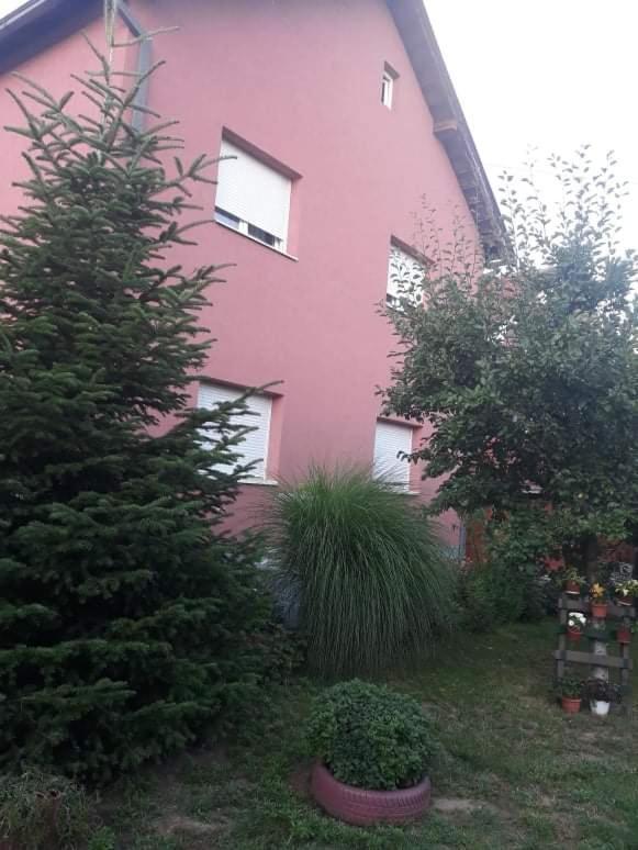 Apartman Drina Berilovac Exterior foto
