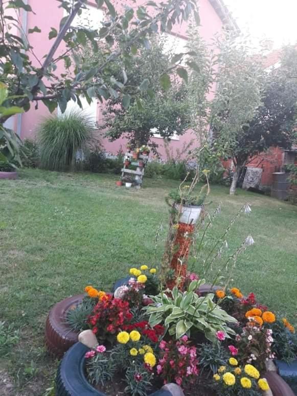 Apartman Drina Berilovac Exterior foto