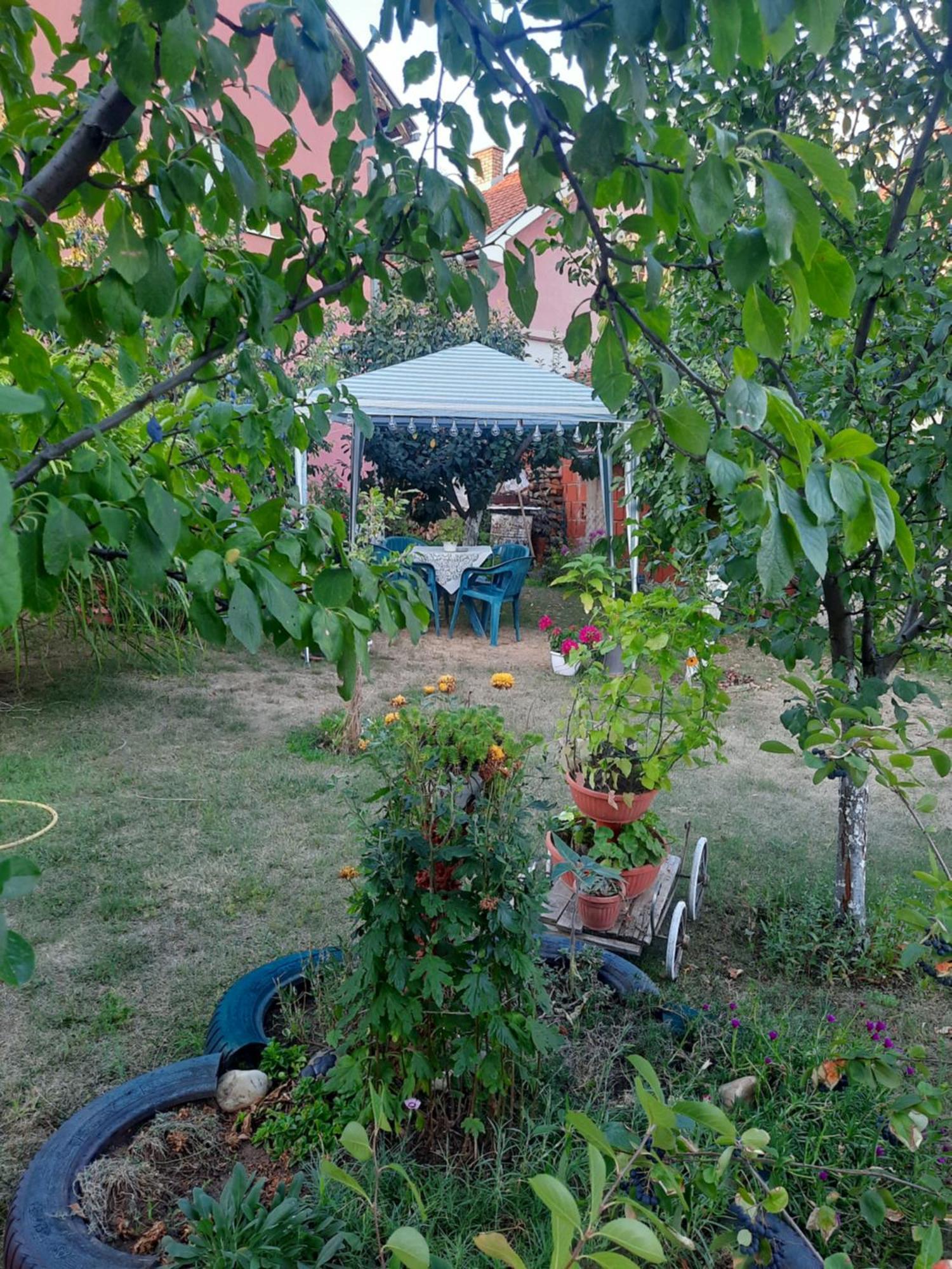 Apartman Drina Berilovac Exterior foto